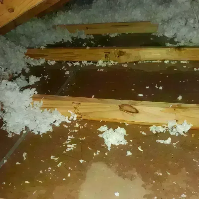 Attic Water Damage in Ravensdale, WA